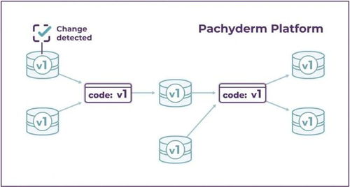 HPE收購Pachyderm 強化AI基礎(chǔ)軟件，加速企業(yè)機器學(xué)習(xí)自動化